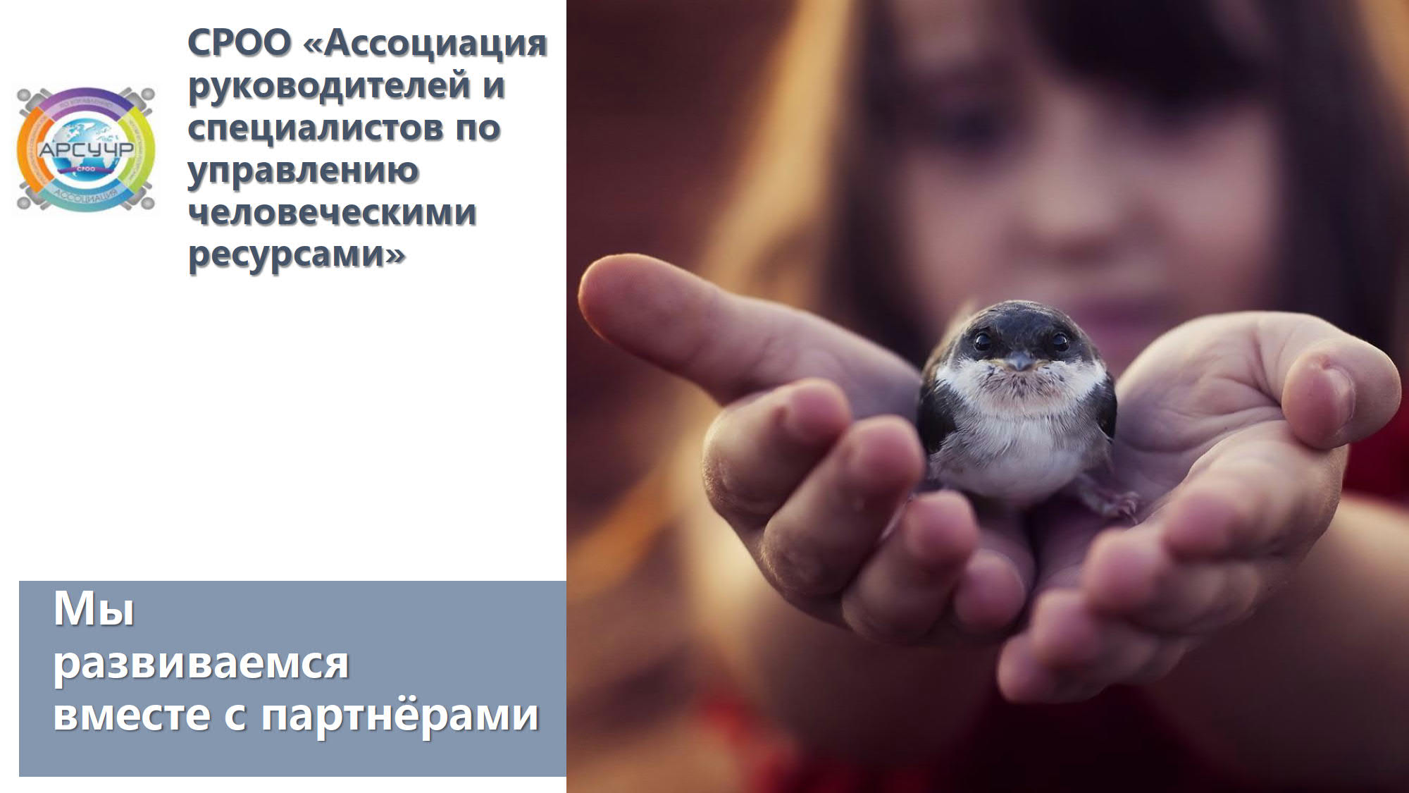 Поздравление с 10-летием Ассоциации от Светланы Долженко, президента АРС УЧР!